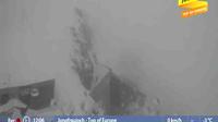 Jungfraujoch: Top of Europe