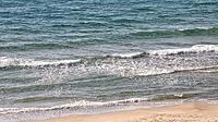 Haifa: Live