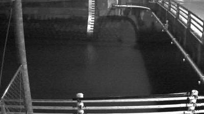 Shingu lake webcam