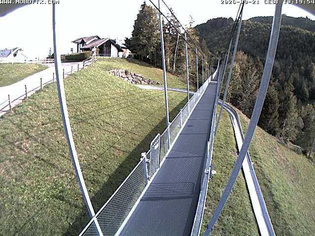 Sattel: Fussgängerhängebrücke 