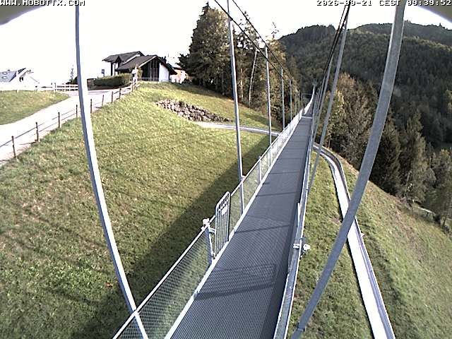 Sattel: Fussgängerhängebrücke 