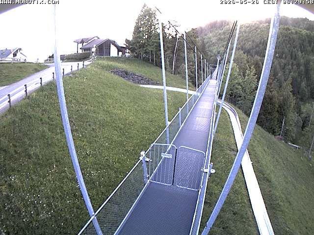 Sattel: Fussgängerhängebrücke 