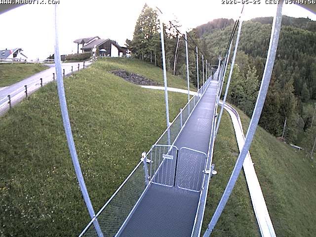 Sattel: Fussgängerhängebrücke 