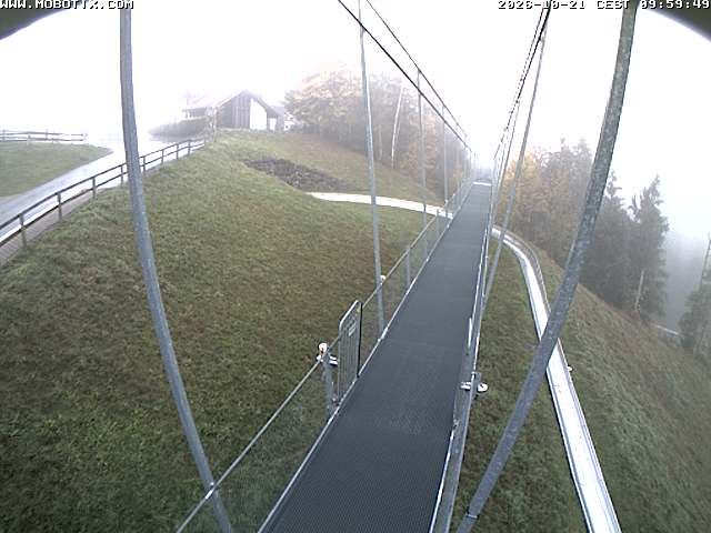 Sattel: Fussgängerhängebrücke 