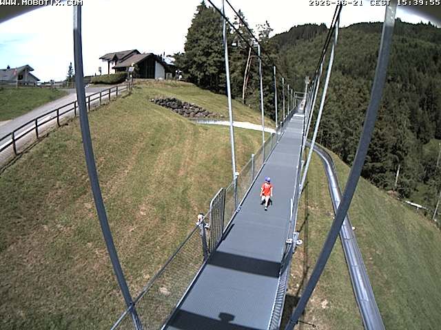 Sattel: Fussgängerhängebrücke 