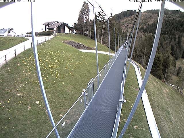 Sattel: Fussgängerhängebrücke 