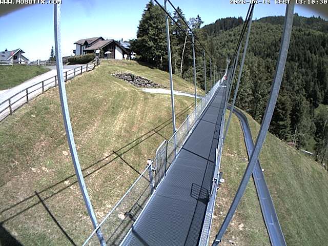 Sattel: Fussgängerhängebrücke 