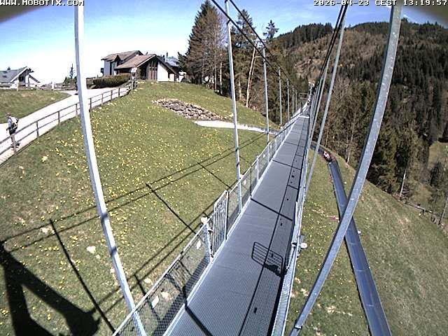 Sattel: Fussgängerhängebrücke 