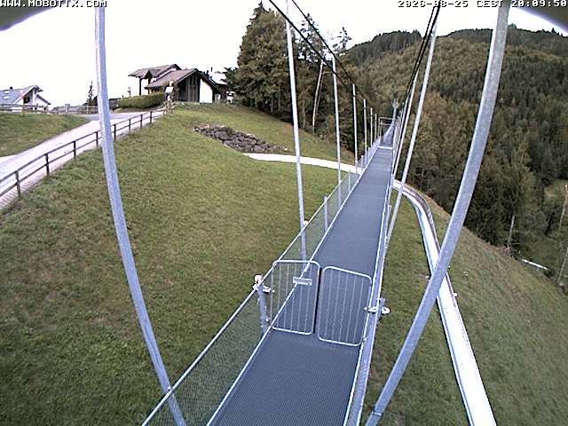 Sattel: Fussgängerhängebrücke 