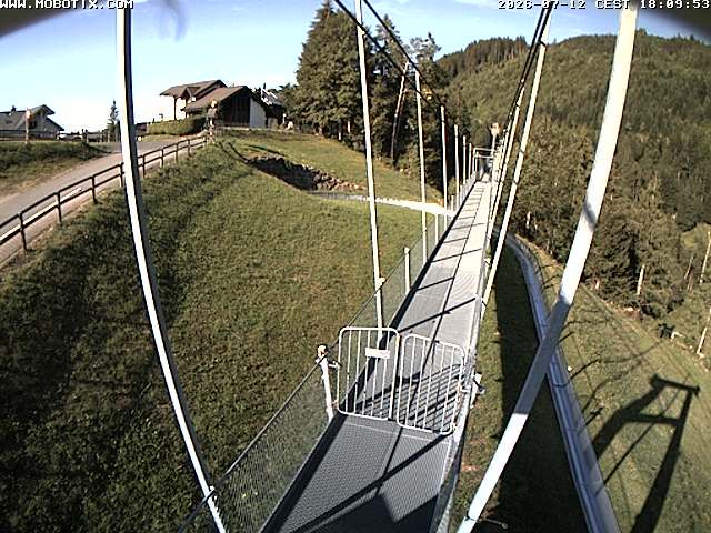 Sattel: Fussgängerhängebrücke 