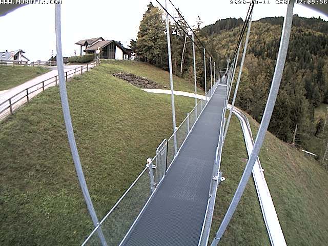 Sattel: Fussgängerhängebrücke 