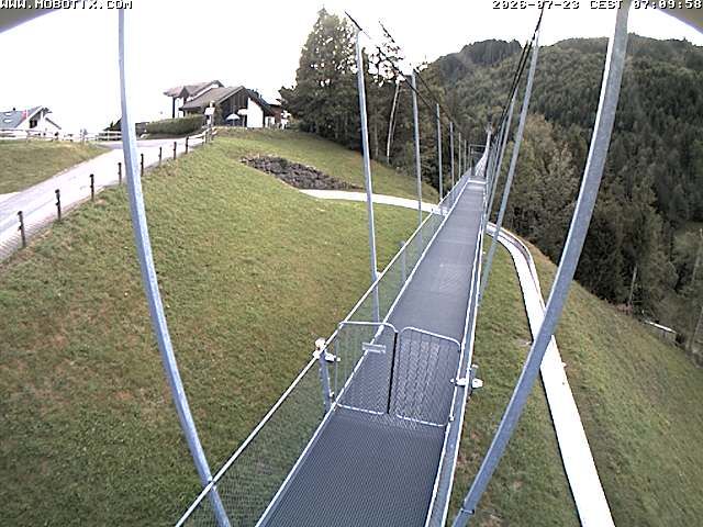 Sattel: Fussgängerhängebrücke 