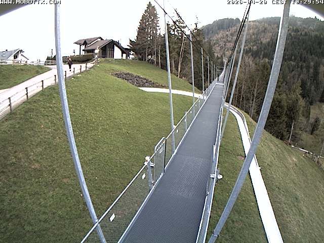 Sattel: Fussgängerhängebrücke 