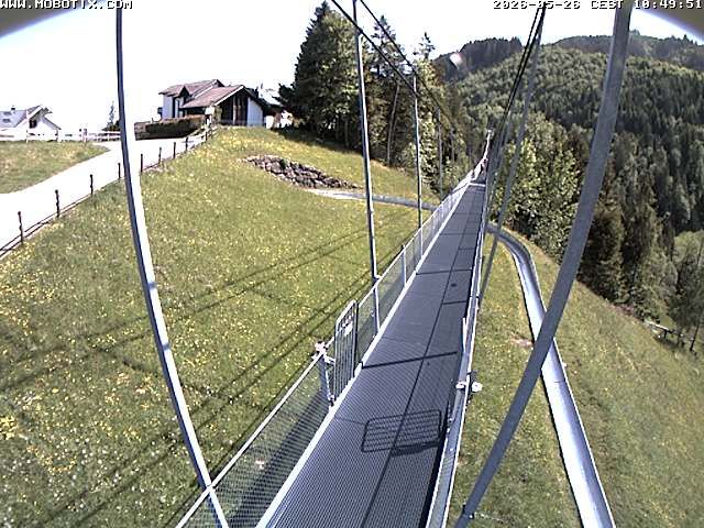 Sattel: Fussgängerhängebrücke 