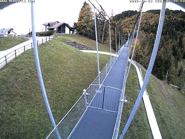 Sattel: Fussgängerhängebrücke