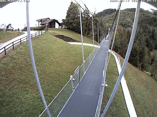 Sattel: Fussgängerhängebrücke 