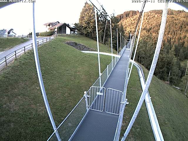 Sattel: Fussgängerhängebrücke 