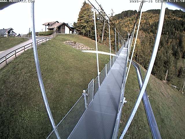Sattel: Fussgängerhängebrücke 
