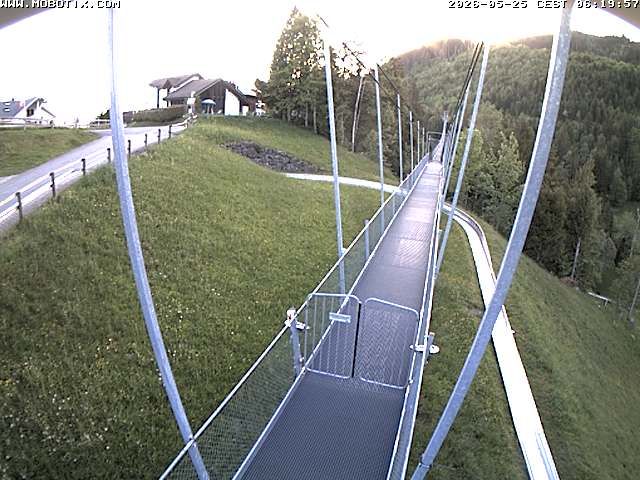 Sattel: Fussgängerhängebrücke 