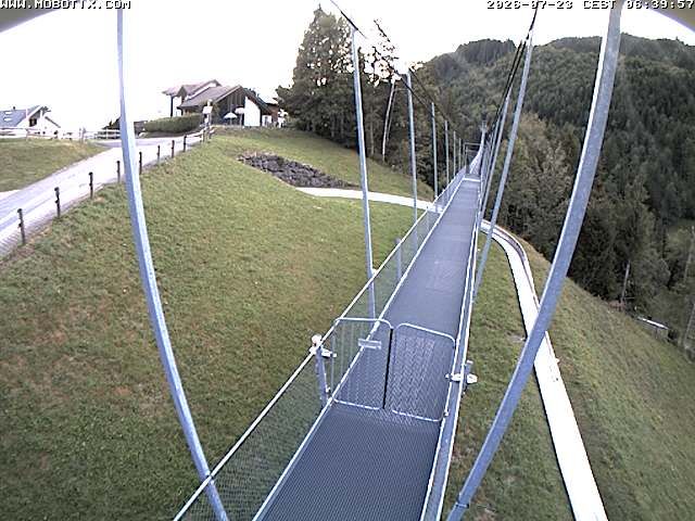 Sattel: Fussgängerhängebrücke 