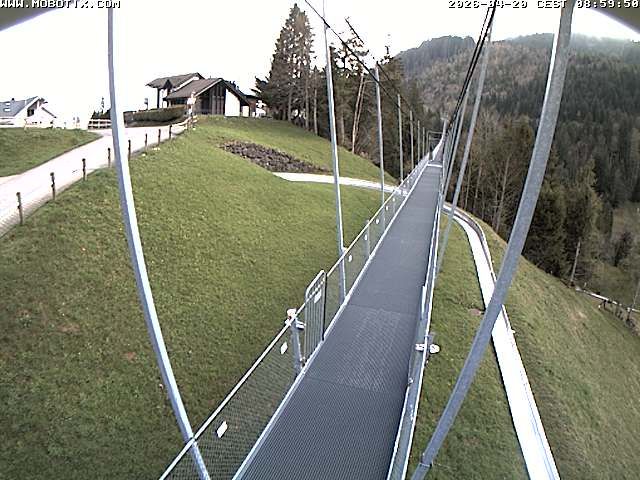 Sattel: Fussgängerhängebrücke 