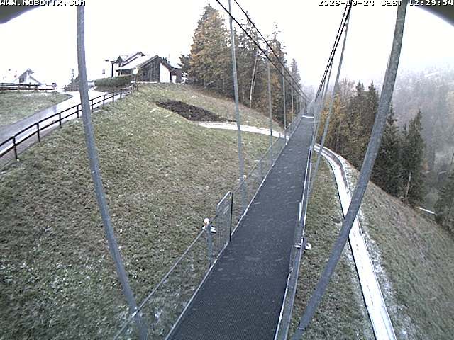 Sattel: Fussgängerhängebrücke 