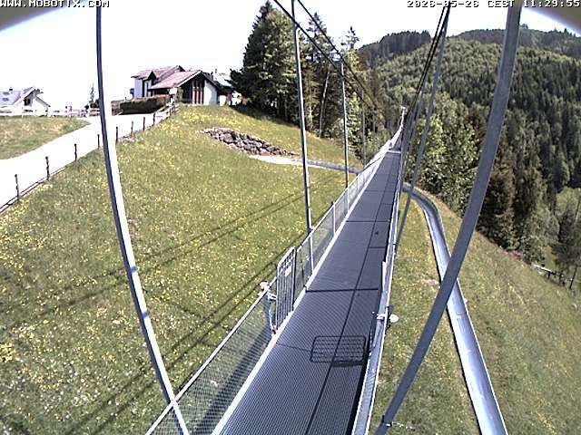 Sattel: Fussgängerhängebrücke 