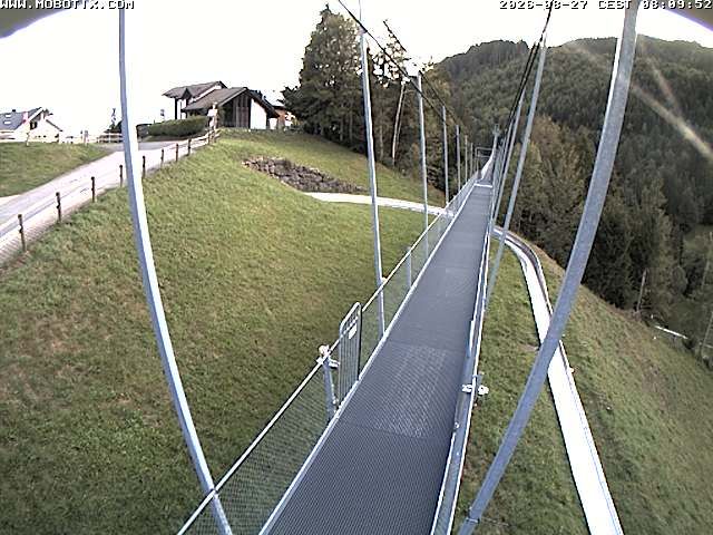 Sattel: Fussgängerhängebrücke 