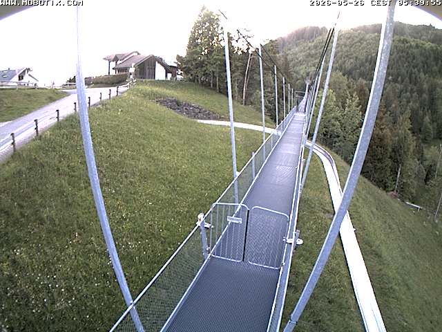 Sattel: Fussgängerhängebrücke 