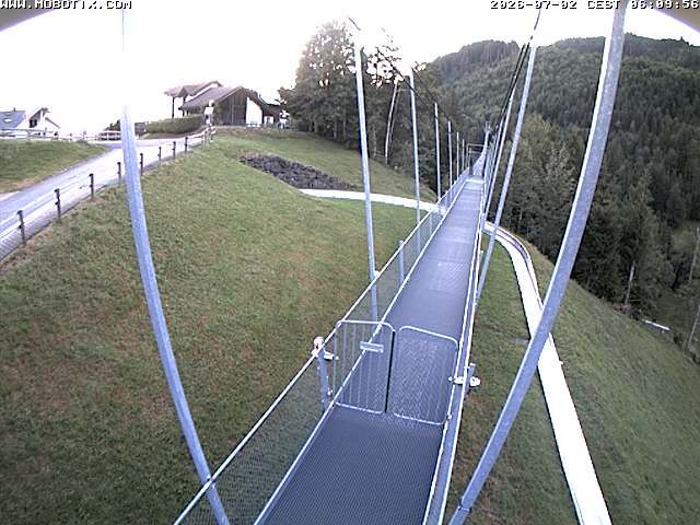 Sattel: Fussgängerhängebrücke 