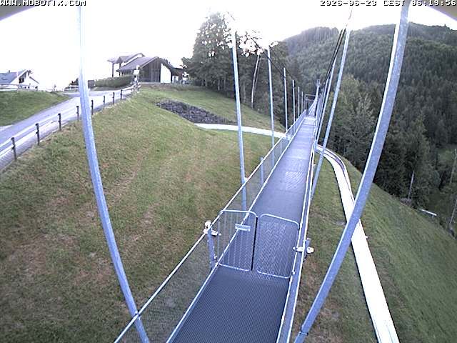 Sattel: Fussgängerhängebrücke 