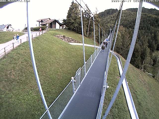 Sattel: Fussgängerhängebrücke