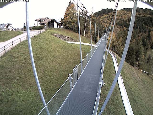 Sattel: Fussgängerhängebrücke