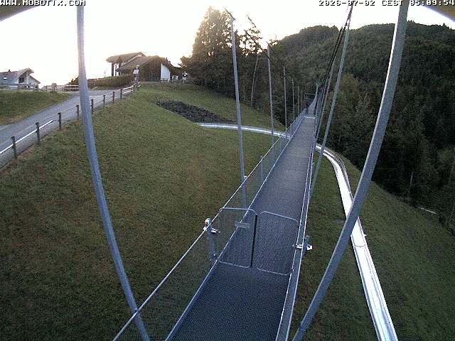 Sattel: Fussgängerhängebrücke