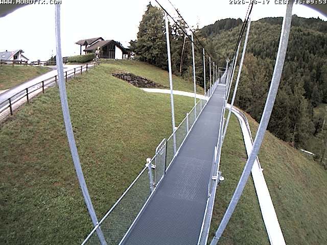 Sattel: Fussgängerhängebrücke
