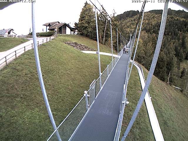 Sattel: Fussgängerhängebrücke