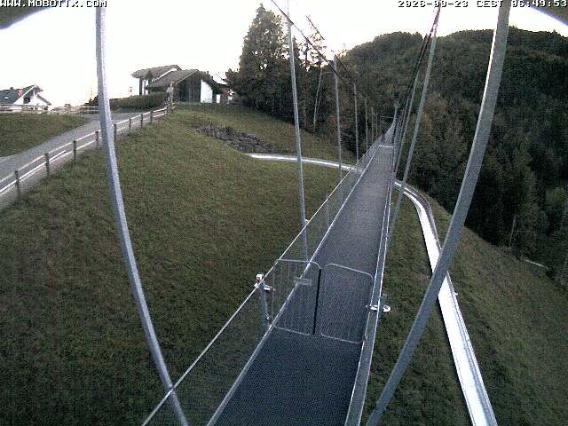 Sattel: Fussgängerhängebrücke