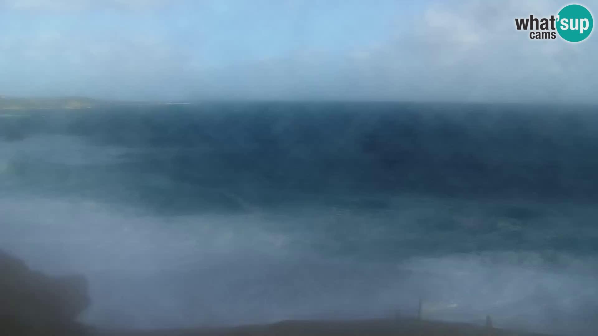 Vignola Mare: Aglientu