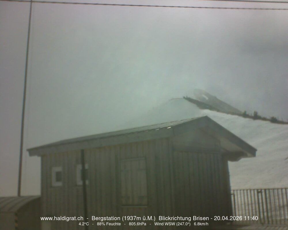 Wolfenschiessen › Süden