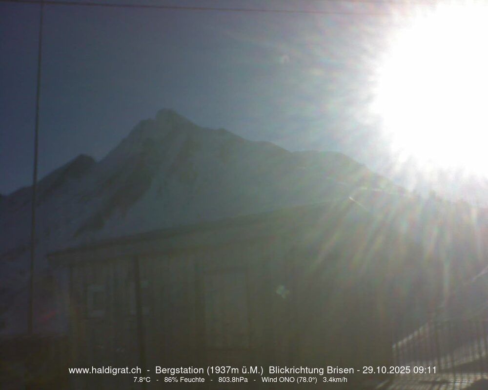 Wolfenschiessen › Süd