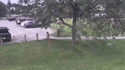 Imagen de webcam diurna Timmins