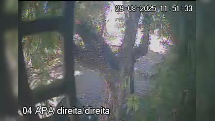 Porto Alegre durante o dia Porto Alegre durante o dia