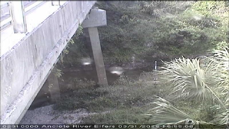 Traffic Cam Trinity