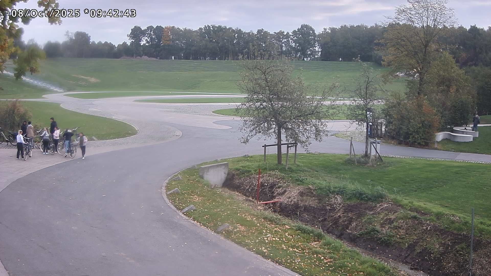 Traffic Cam Boom › North-East