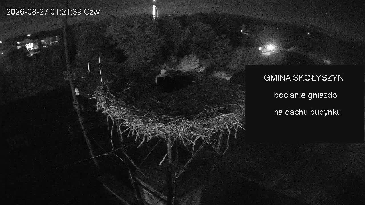 Traffic Cam Skolyszyn › North-West
