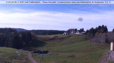 Friedenweiler Daglicht Webcam Image Friedenweiler Daglicht Webcam Image