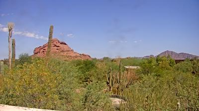 Phoenix-Landscape