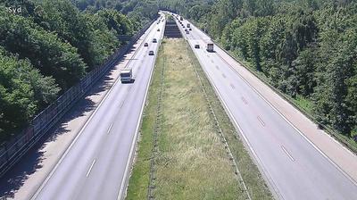 Farum Daglicht Webcam Image Farum Daglicht Webcam Image