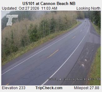 Cannon Beach during daytime