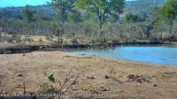 Mutale Local Municipality: Punda Maria Rest Camp